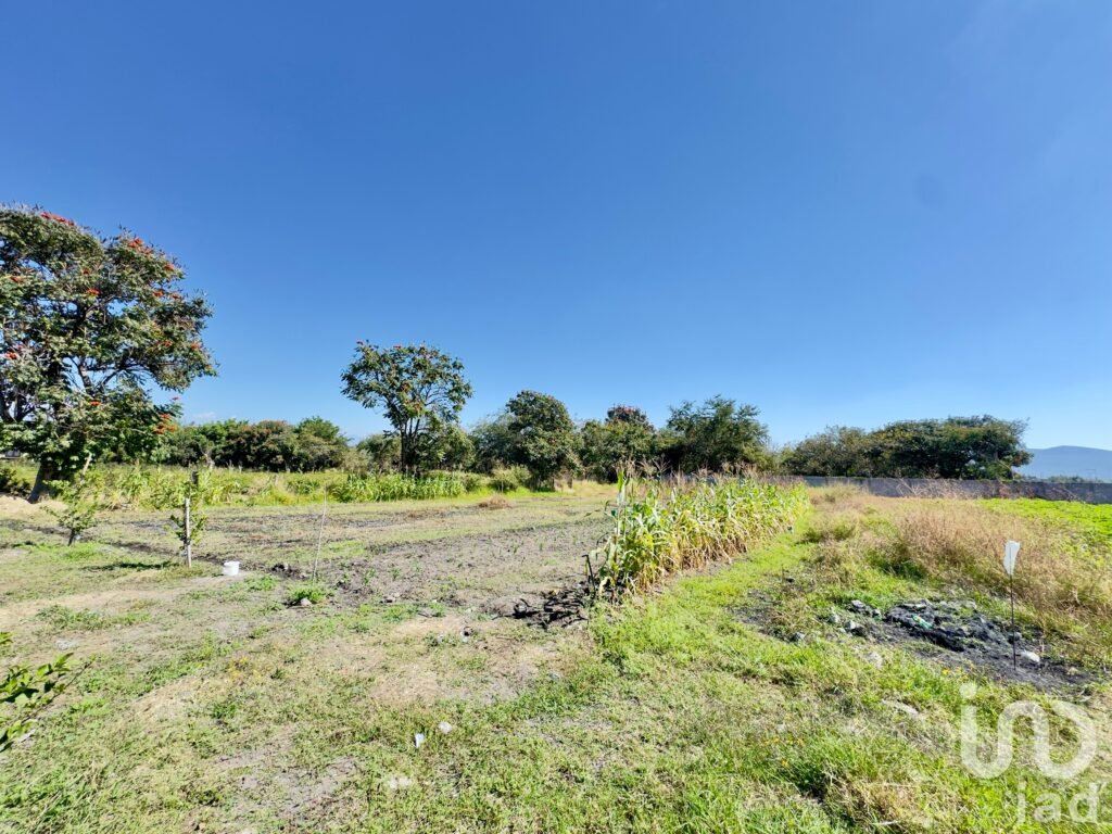 TERRENO EN VENTA EN VILLA DE LAS FLORES, TEMIXCO; MORELOS.