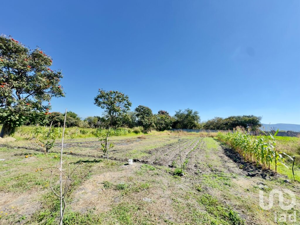 TERRENO EN VENTA EN VILLA DE LAS FLORES, TEMIXCO; MORELOS.
