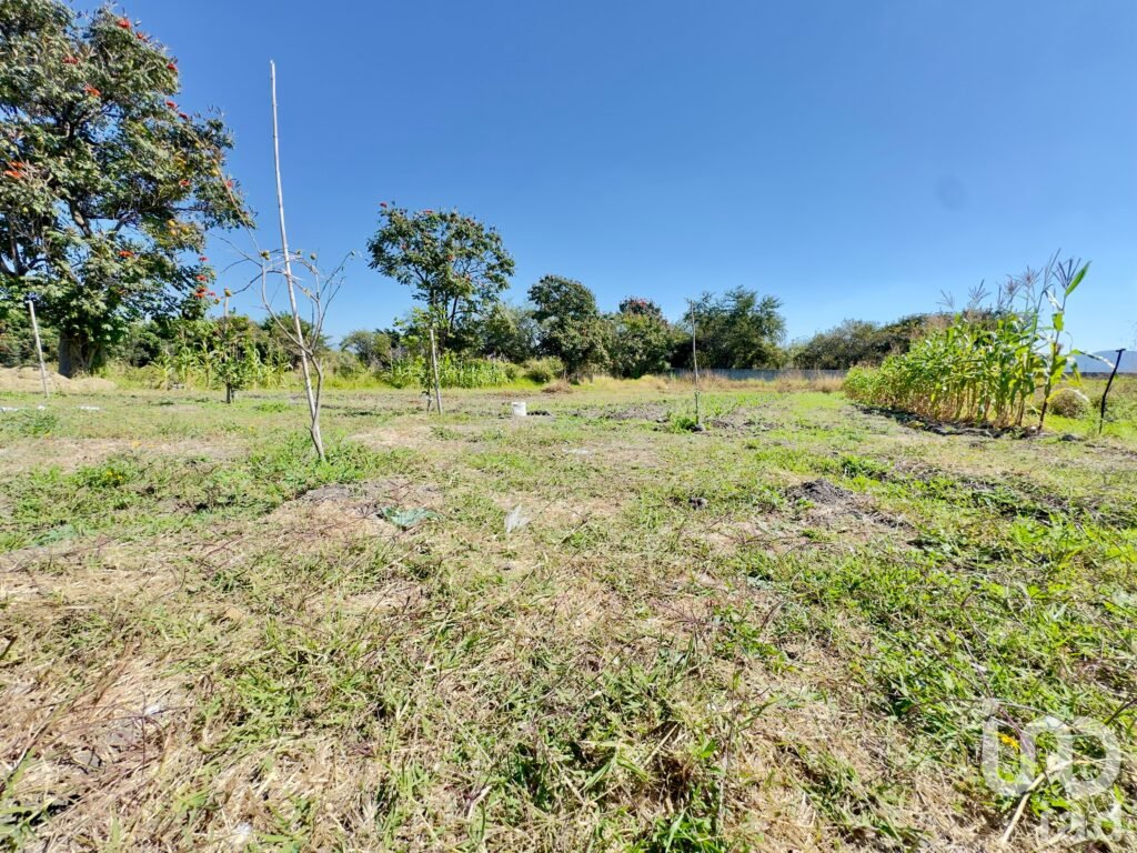 TERRENO EN VENTA EN VILLA DE LAS FLORES, TEMIXCO; MORELOS.