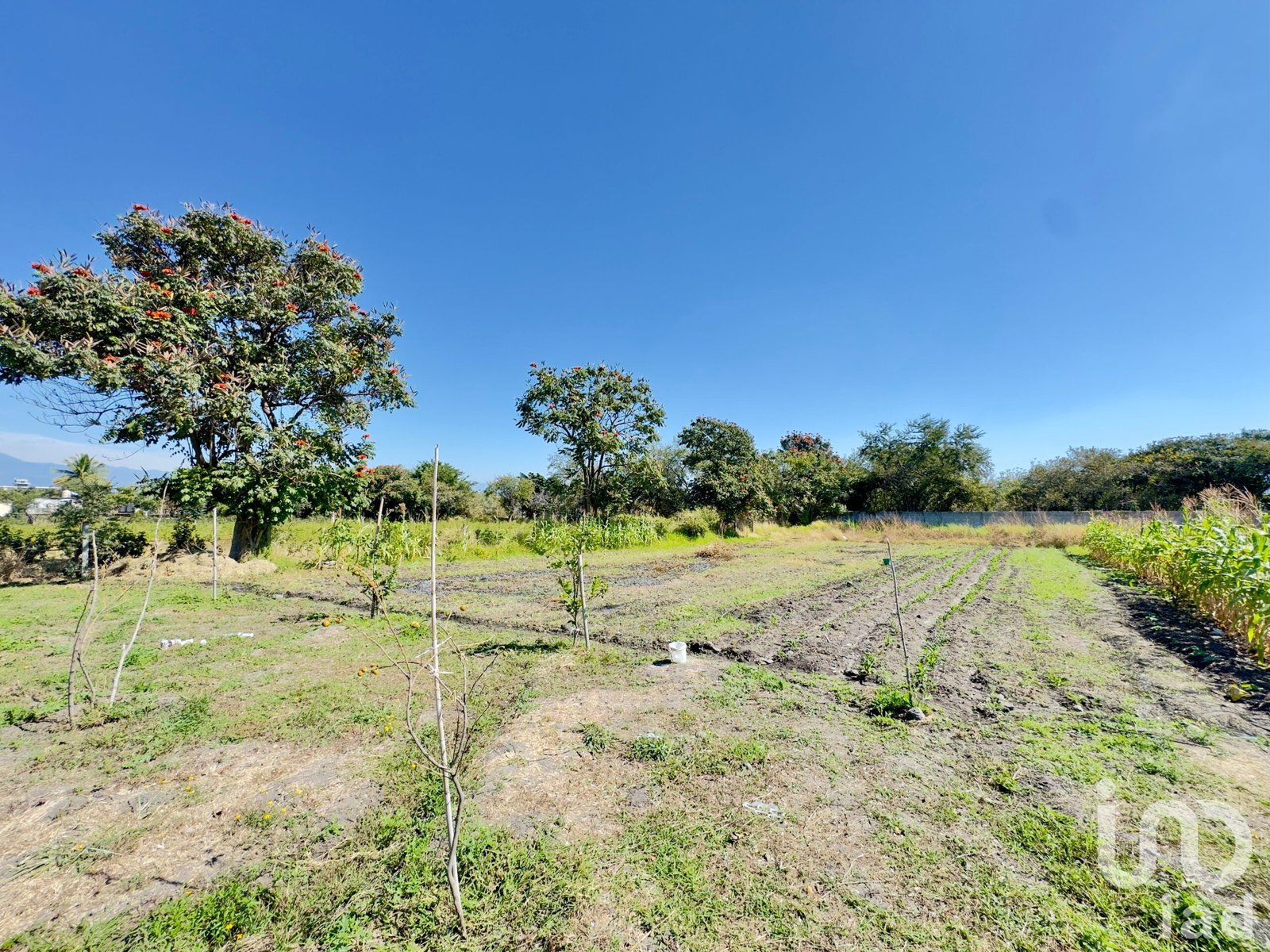TERRENO EN VENTA EN VILLA DE LAS FLORES, TEMIXCO; MORELOS.