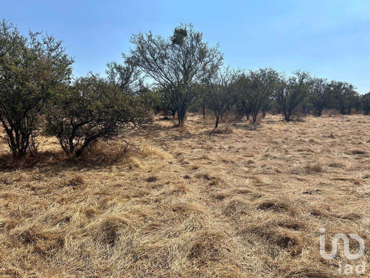 TERRENO EN VENTA TERRENO EN VENTA