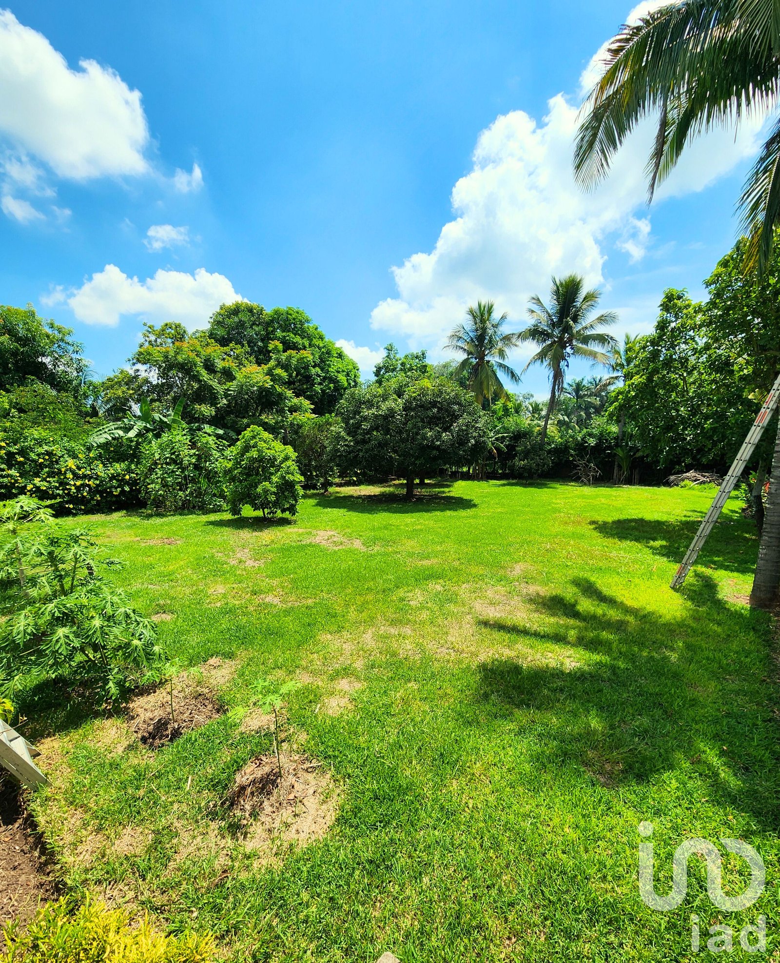 RESIDENCIA EN MEDELLIN DE BRAVO VERACRUZ CERCANA A RIO JAMAPA