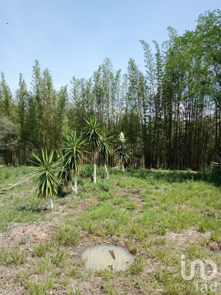 Terreno campestre en residencial privado en venta