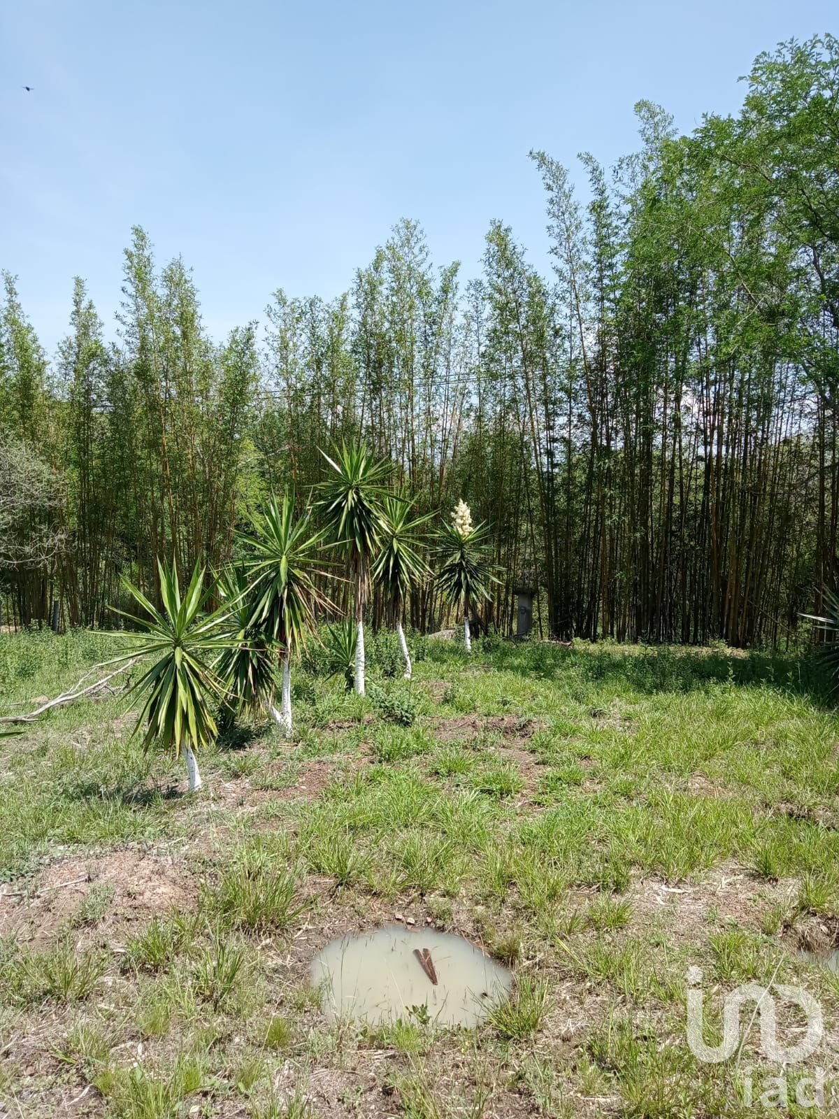 Terreno campestre en residencial privado en venta