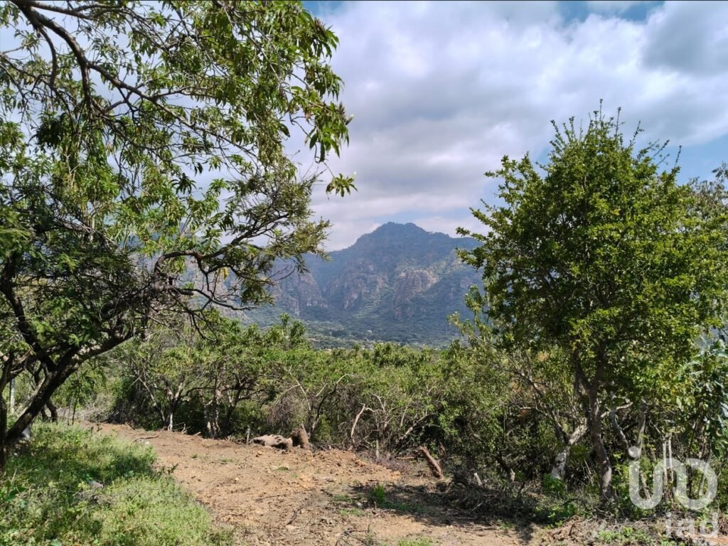 Terreno en venta en Amatlán, ideal para inversionistas.