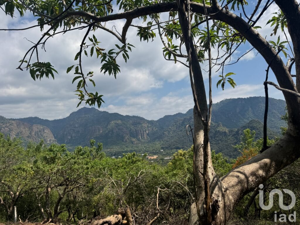 Terreno en venta en Amatlán, ideal para inversionistas.
