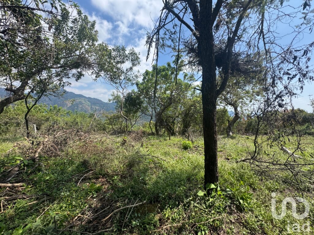 Terreno en venta en Amatlán, ideal para inversionistas.