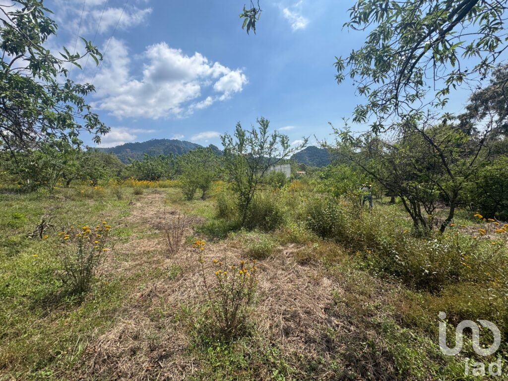 Terreno en Venta en Amatlán, con fácil acceso y vistas a la montaña.