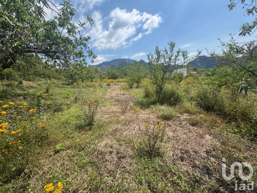 Terreno en Venta en Amatlán, con fácil acceso y vistas a la montaña.