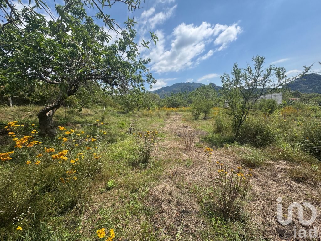 Terreno en Venta en Amatlán, con fácil acceso y vistas a la montaña.