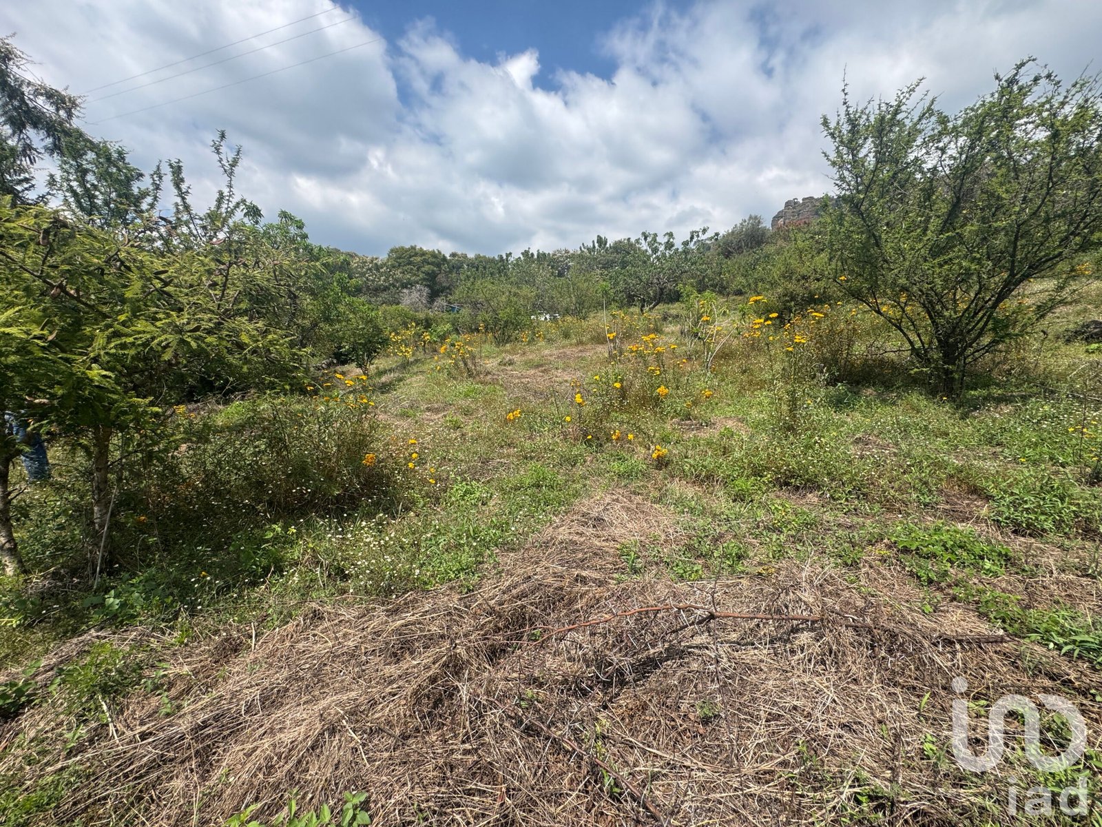 Terreno en Venta en Amatlán, con fácil acceso y vistas a la montaña.