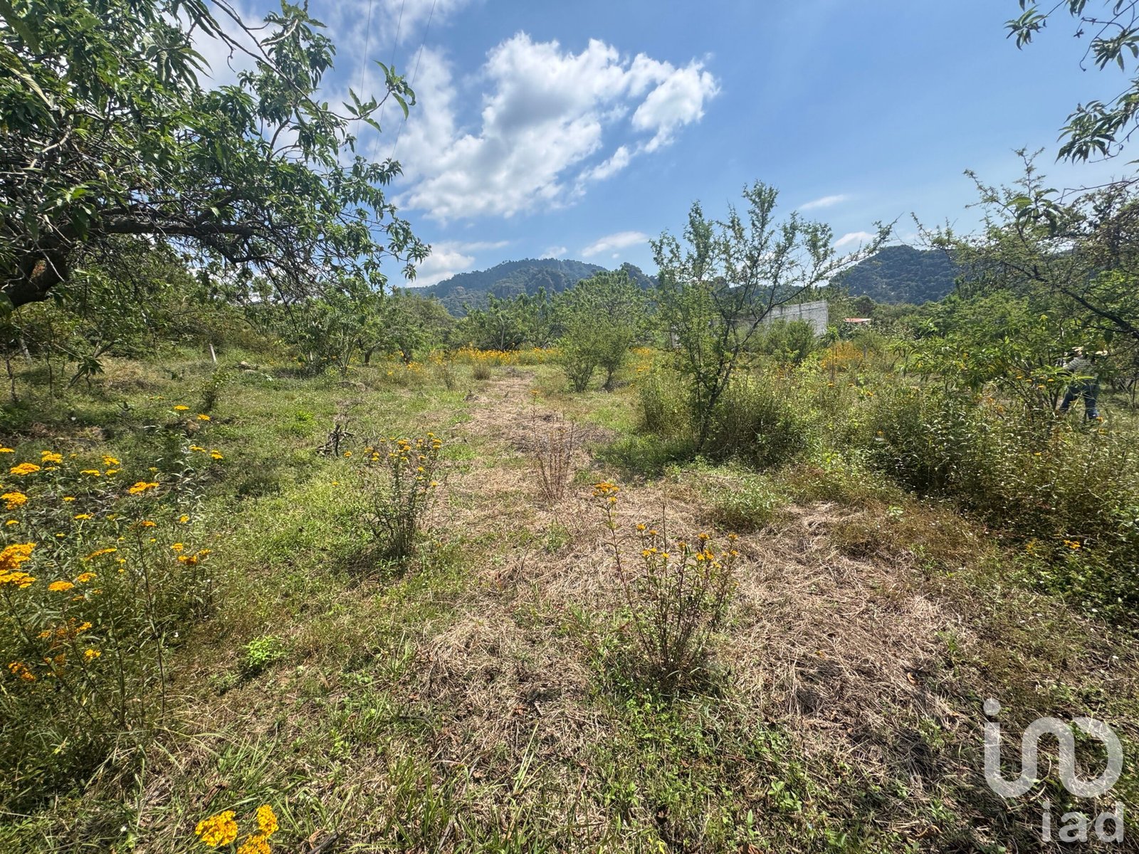 Terreno en Venta en Amatlán, con fácil acceso y vistas a la montaña. Terreno en Venta en Amatlán, con fácil acceso y vistas a la montaña.