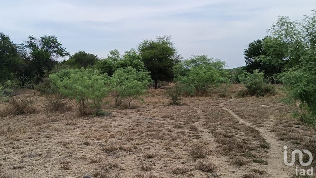 Venta de Terrreno en Pesqueria con Alto potencial Industrial y Logístico de 16.5 hectáreas