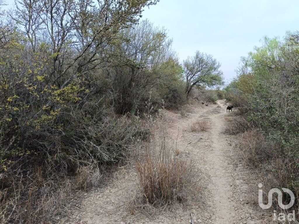 Venta de Terrreno en Pesqueria con Alto potencial Industrial y Logístico de 16.5 hectáreas