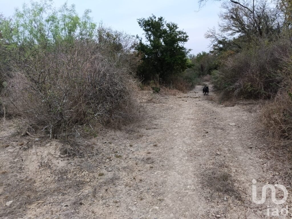 Venta de Terrreno en Pesqueria con Alto potencial Industrial y Logístico de 16.5 hectáreas