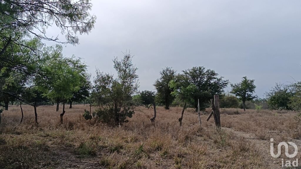 Venta de Terrreno en Pesqueria con Alto potencial Industrial y Logístico de 16.5 hectáreas