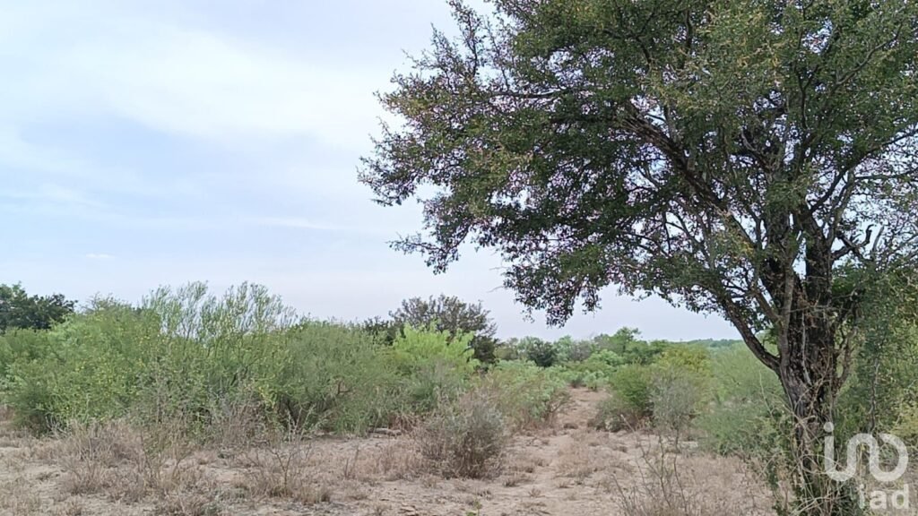 Venta de Terrreno en Pesqueria con Alto potencial Industrial y Logístico de 16.5 hectáreas