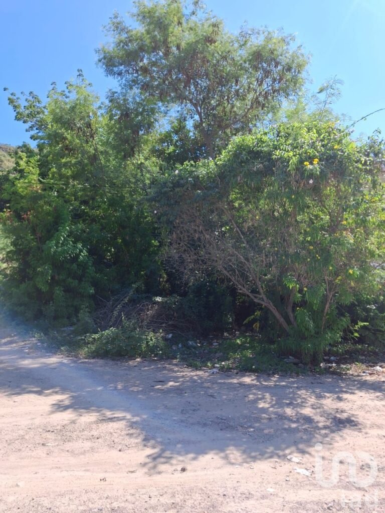 Terreno en Venta en Rinconada El Cardonal, La Paz, B.C.S.