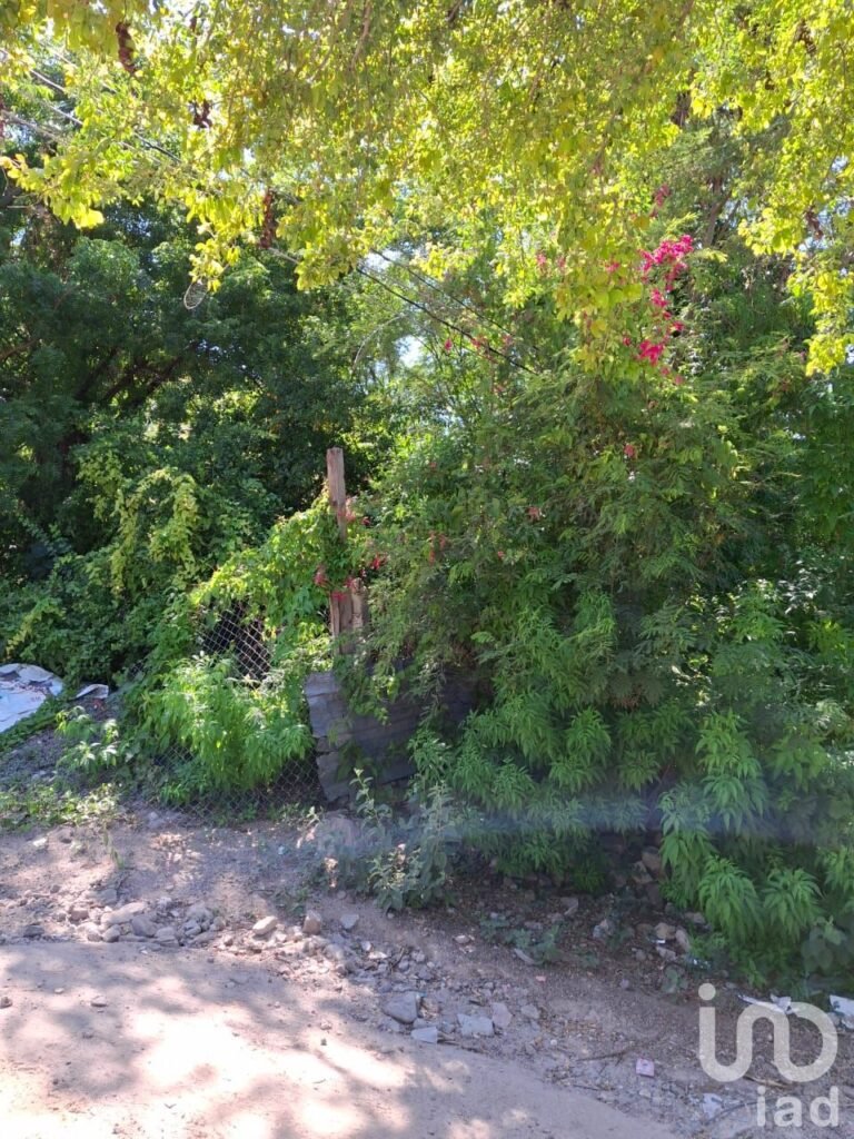 Terreno en Venta en Rinconada El Cardonal, La Paz, B.C.S.