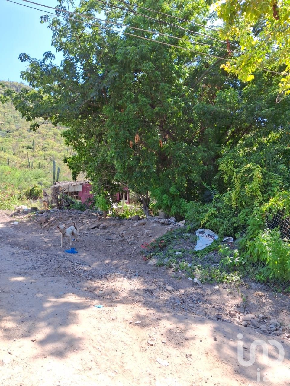 Terreno en Venta en Rinconada El Cardonal, La Paz, B.C.S.