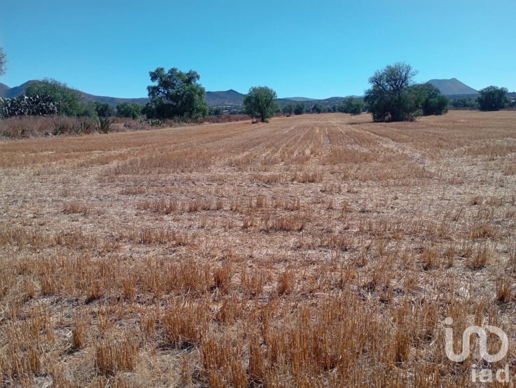 VENTA DE TERRENO A UN COSTADO DE LA UPP CERCA DE ZEMPOALA 8 HA