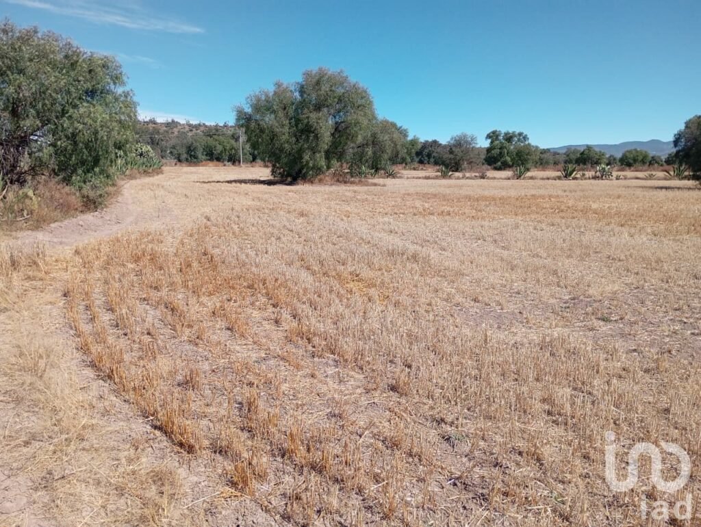 VENTA DE TERRENO A UN COSTADO DE LA UPP CERCA DE ZEMPOALA 8 HA