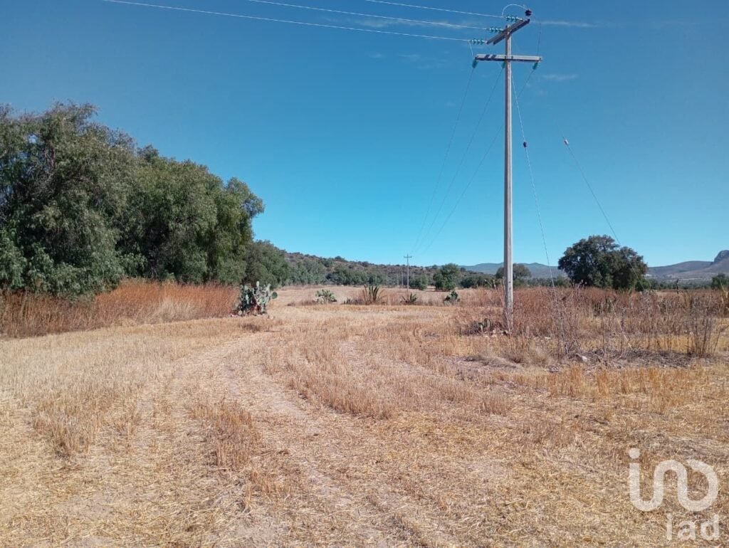 VENTA DE TERRENO A UN COSTADO DE LA UPP CERCA DE ZEMPOALA 8 HA