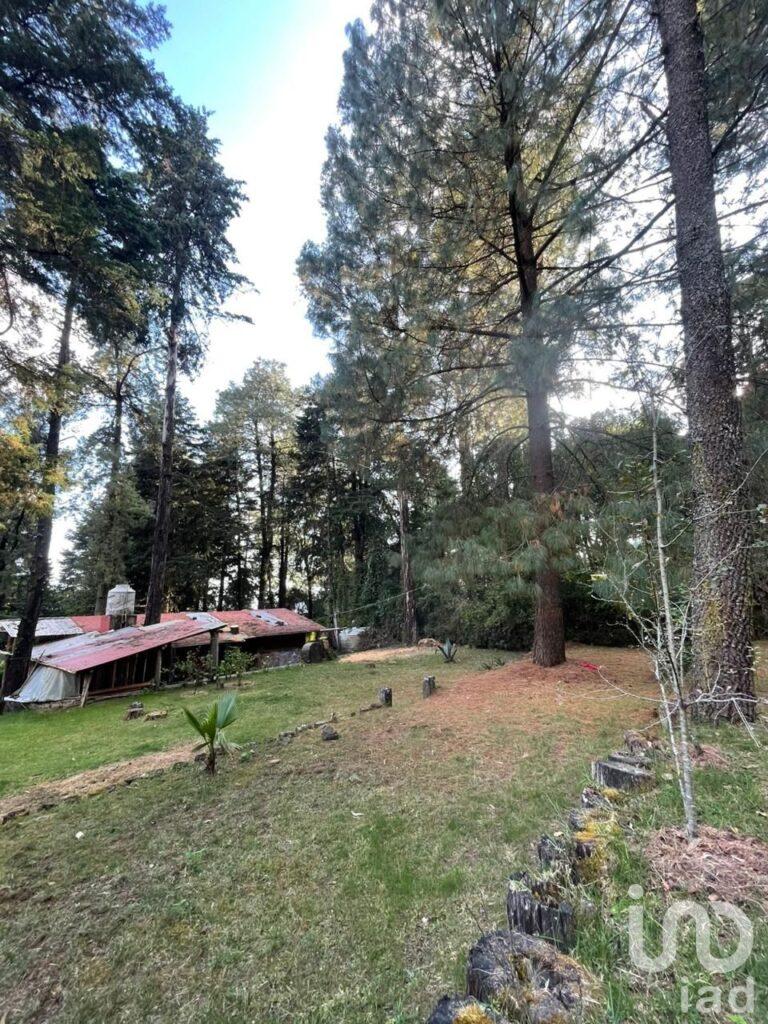 Casa con terreno en venta