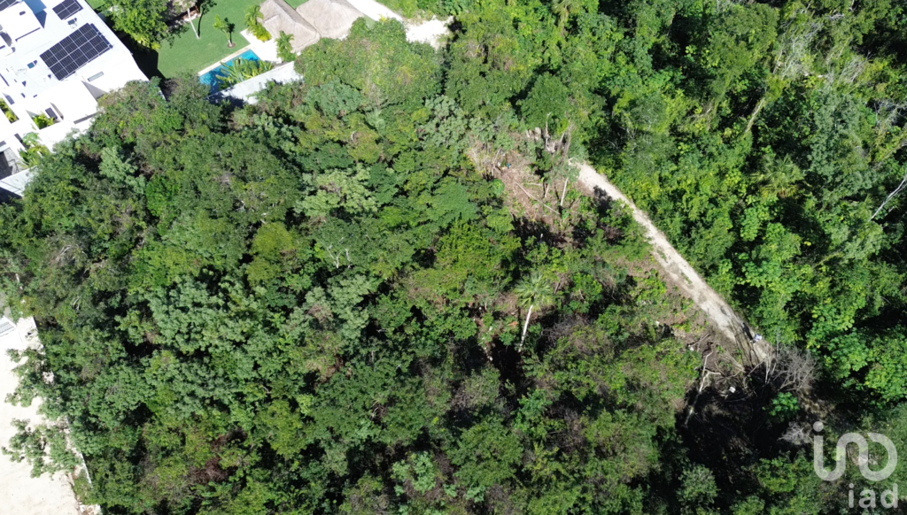 Invierte en Playa del Carmen: terreno con alto potencial