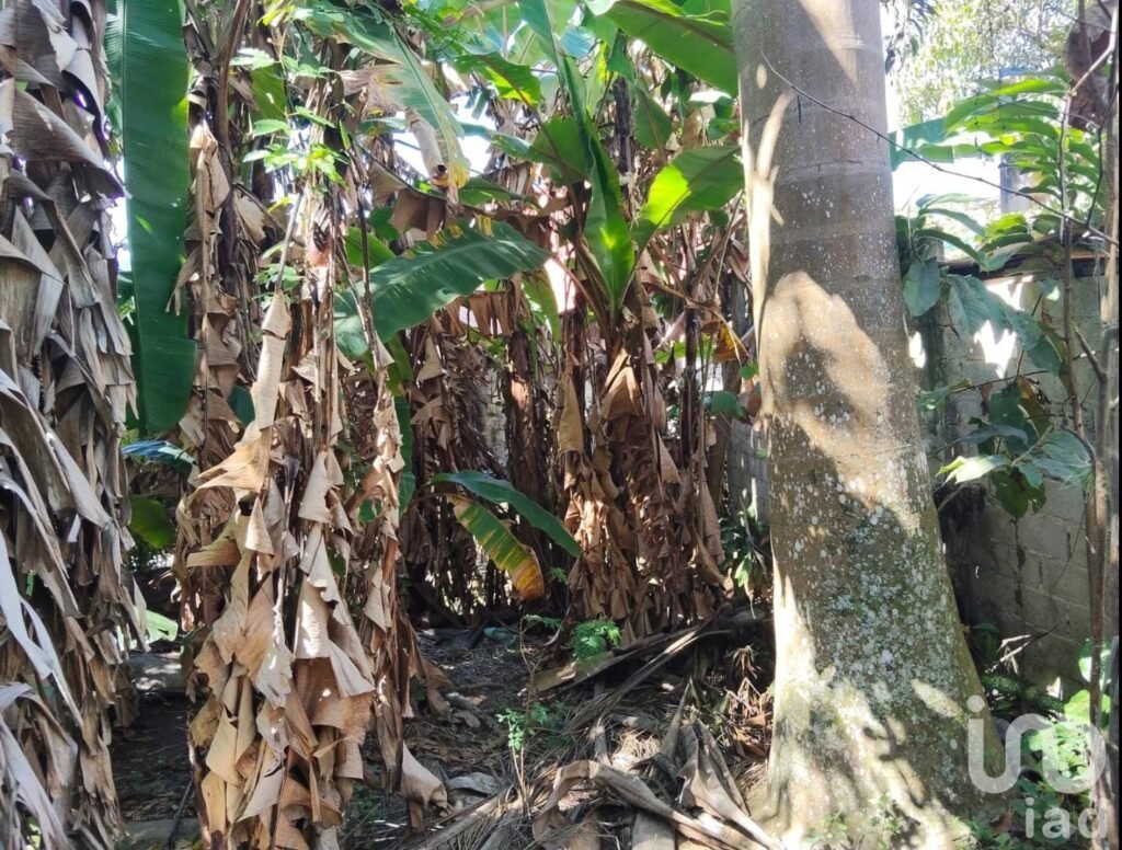 Casa en venta en Yajalón