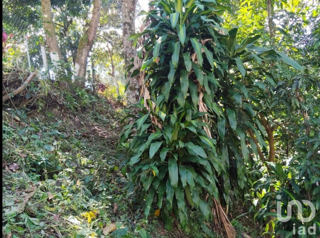 Casa en venta en Yajalón