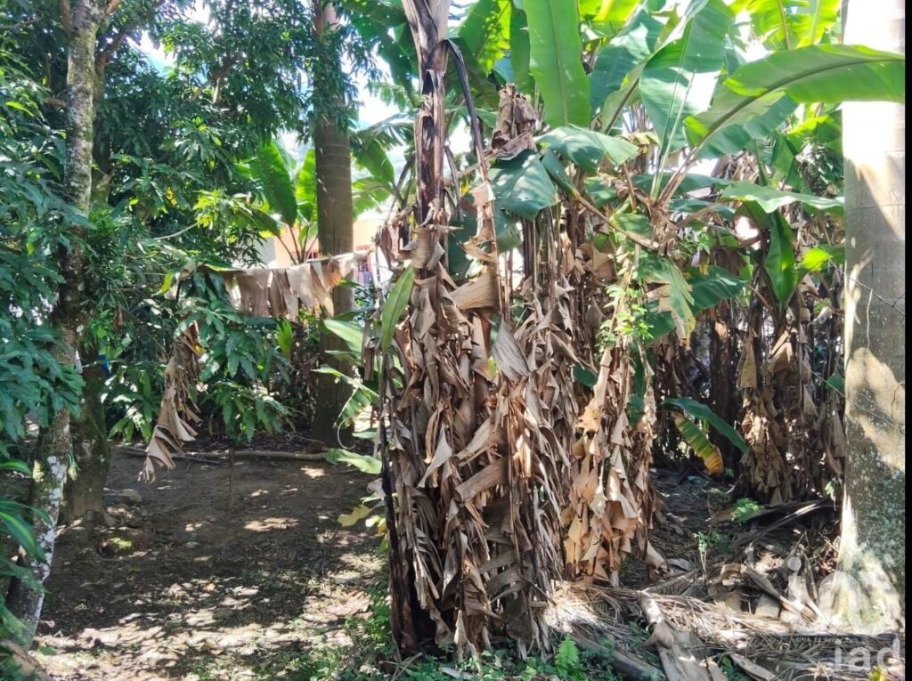 Casa en venta en Yajalón