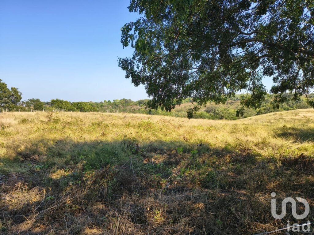 Terreno en Venta ideal para Fraccionamiento en Emiliano Zapata, Ver.