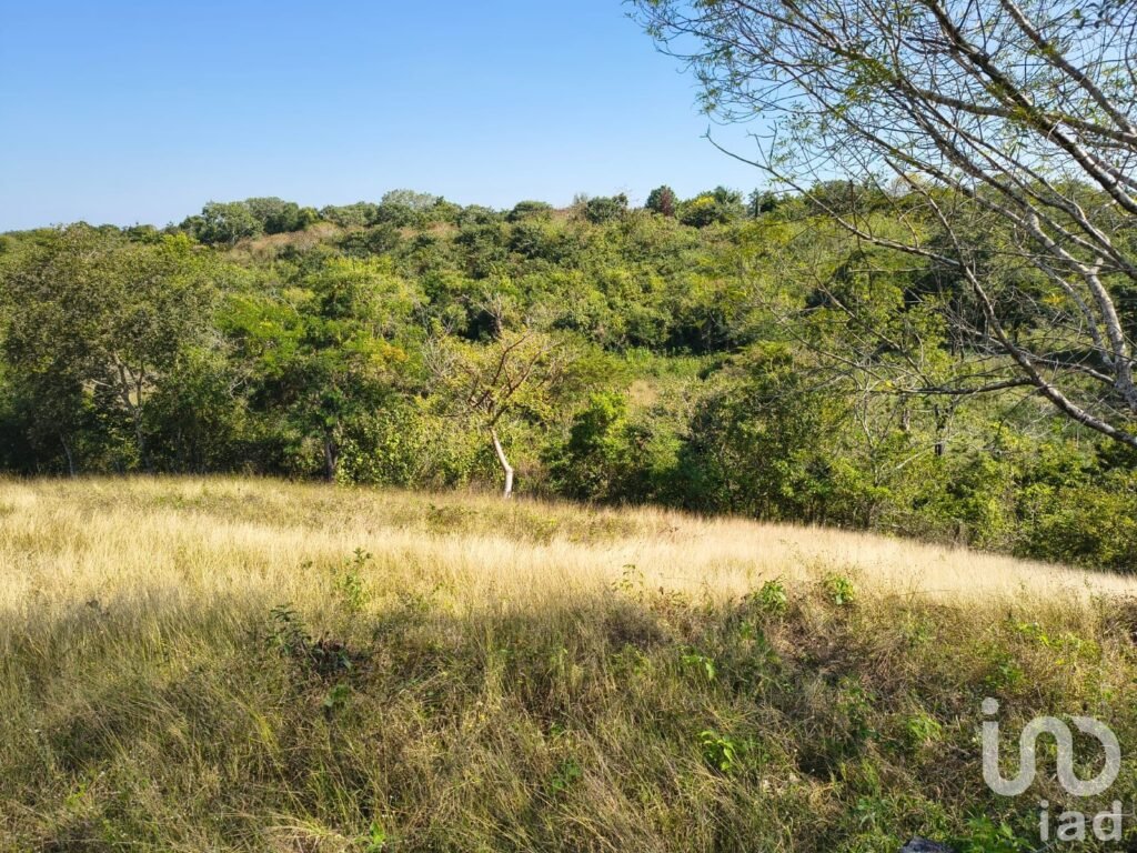 Terreno en Venta ideal para Fraccionamiento en Emiliano Zapata, Ver.