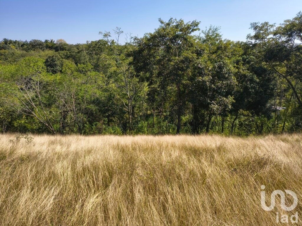 Terreno en Venta ideal para Fraccionamiento en Emiliano Zapata, Ver.