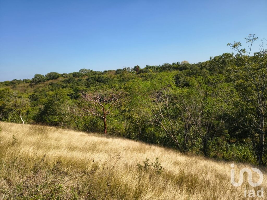 Terreno en Venta ideal para Fraccionamiento en Emiliano Zapata, Ver.