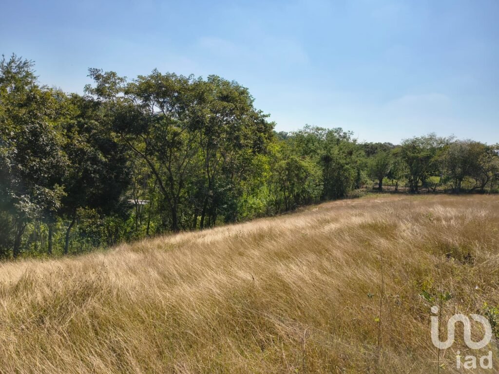 Terreno en Venta ideal para Fraccionamiento en Emiliano Zapata, Ver.