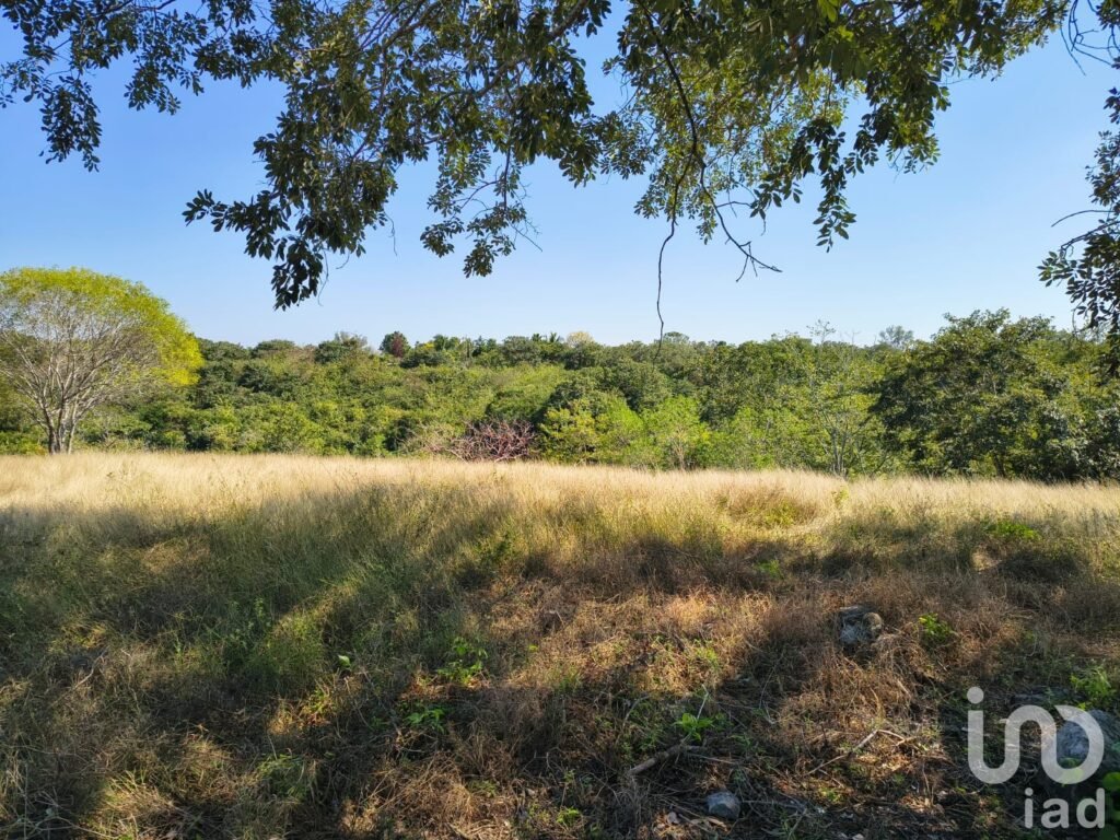 Terreno en Venta ideal para Fraccionamiento en Emiliano Zapata, Ver.