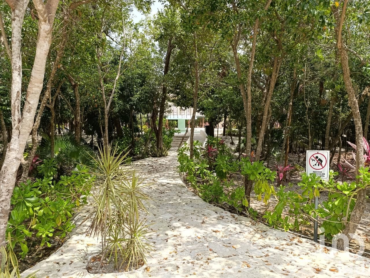 Terreno residencial en Aldea Kaan Ecohabitat, Puerto Morelos.