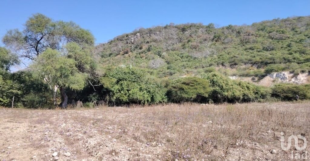 Terreno en Venta las Estacas morelos