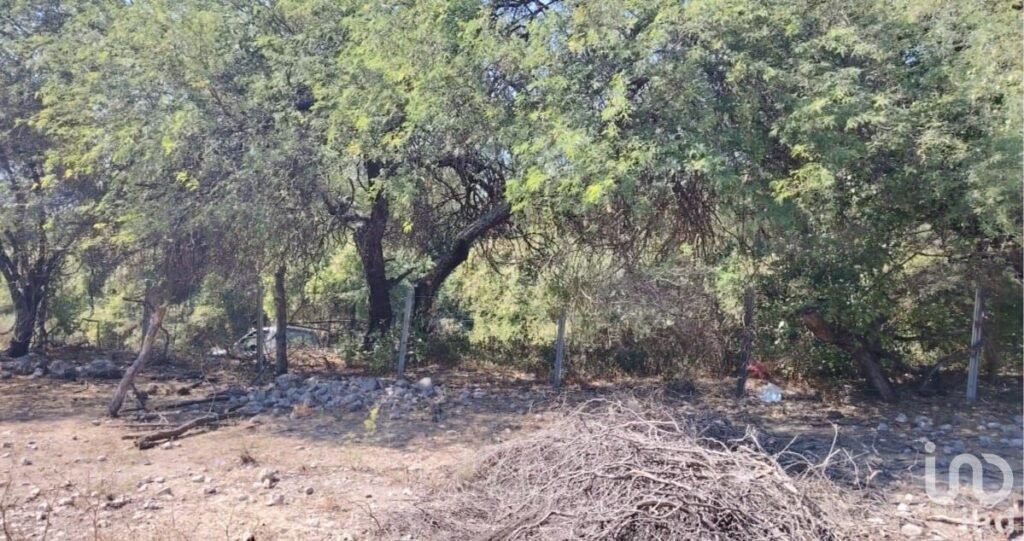 Terreno en Venta las Estacas morelos