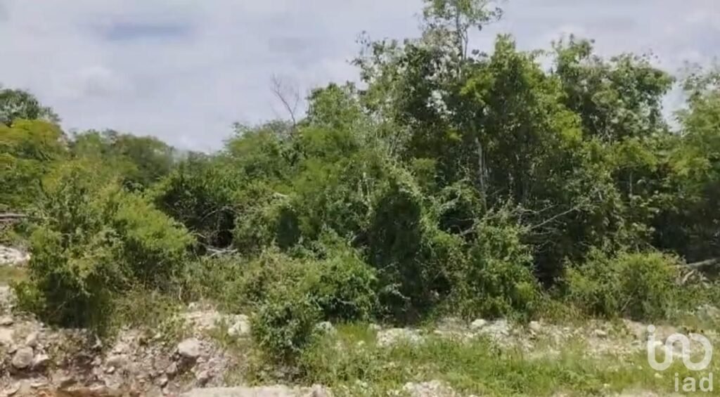 Terreno residencial en Puerta de Agua con lago natural, zona Progreso–Mérida