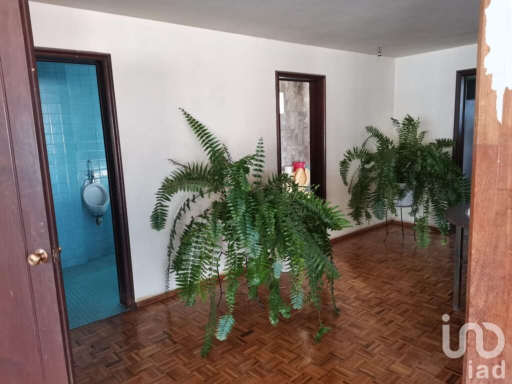 Productivo: Venta en Celaya Centro | 6 Recámaras | Taller + Salón de Eventos 150 pax Uso Mixto