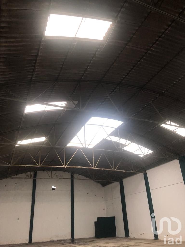 Bodega en Renta,  San Pedro, Puebla, Puebla