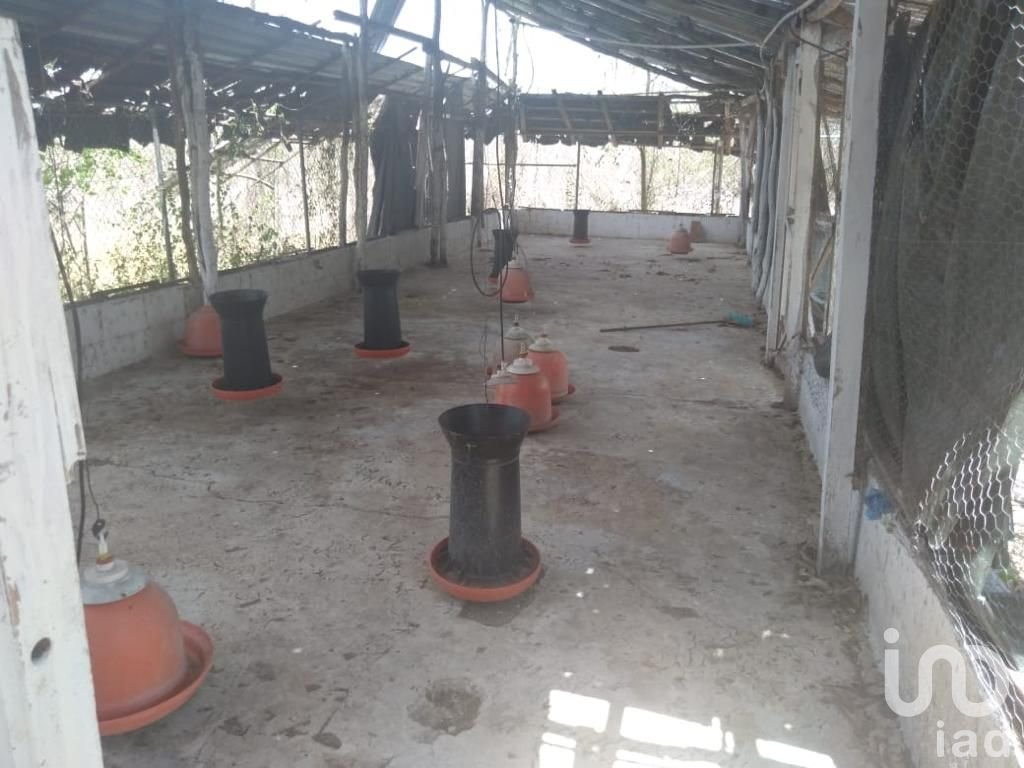 PROPIEDAD CON CASA, GRANJA Y AMPLIO TERRENO EN SITPACH NORTE YUCATAN
