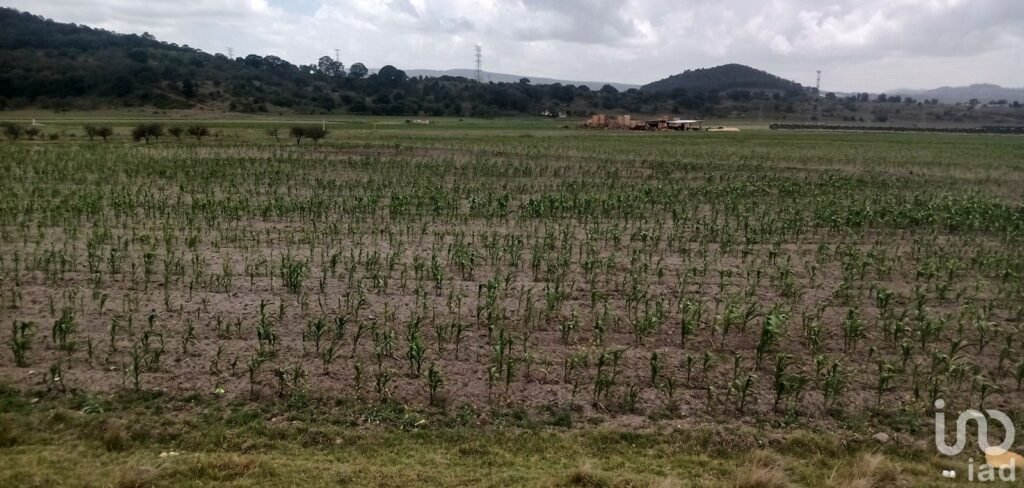 Se vende terreno en la carretera Pachuca- Tulancingo, Hidalgo