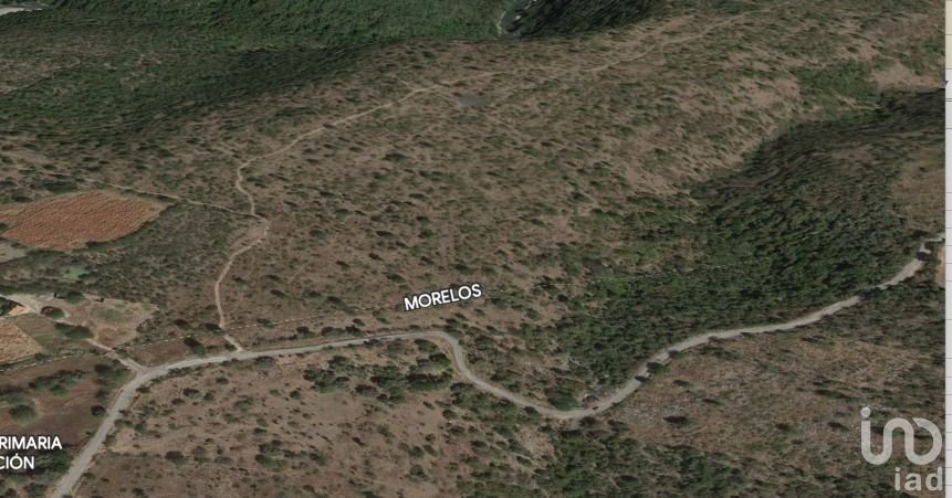 Terreno en Venta en Coatlán del Río, Tecala y  Mazatepec, Amacuzác, Morelos