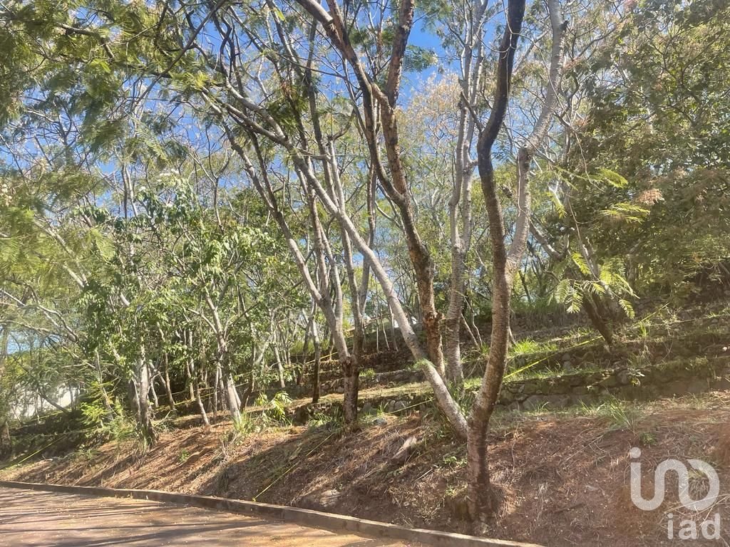 Terreno en Venta Lomas de Atzingo, Lomas de Atzingo, Cuernavaca