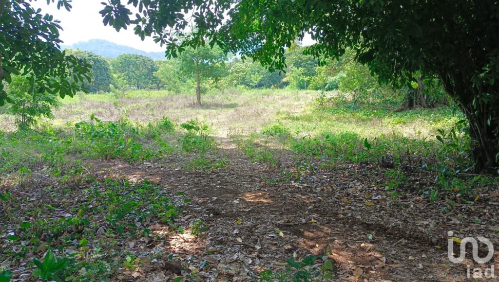 Terreno en venta en Dos de Abril en San Andrés Tuxtla, Ver.