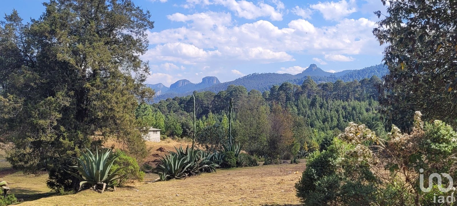 Se vende terreno en Omitlan, Hidalgo. Se vende terreno en Omitlan, Hidalgo.